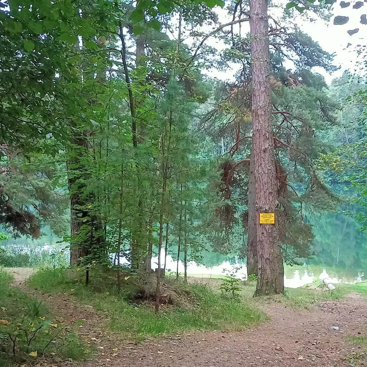  51,43м.кв., комнат 2, Боровка