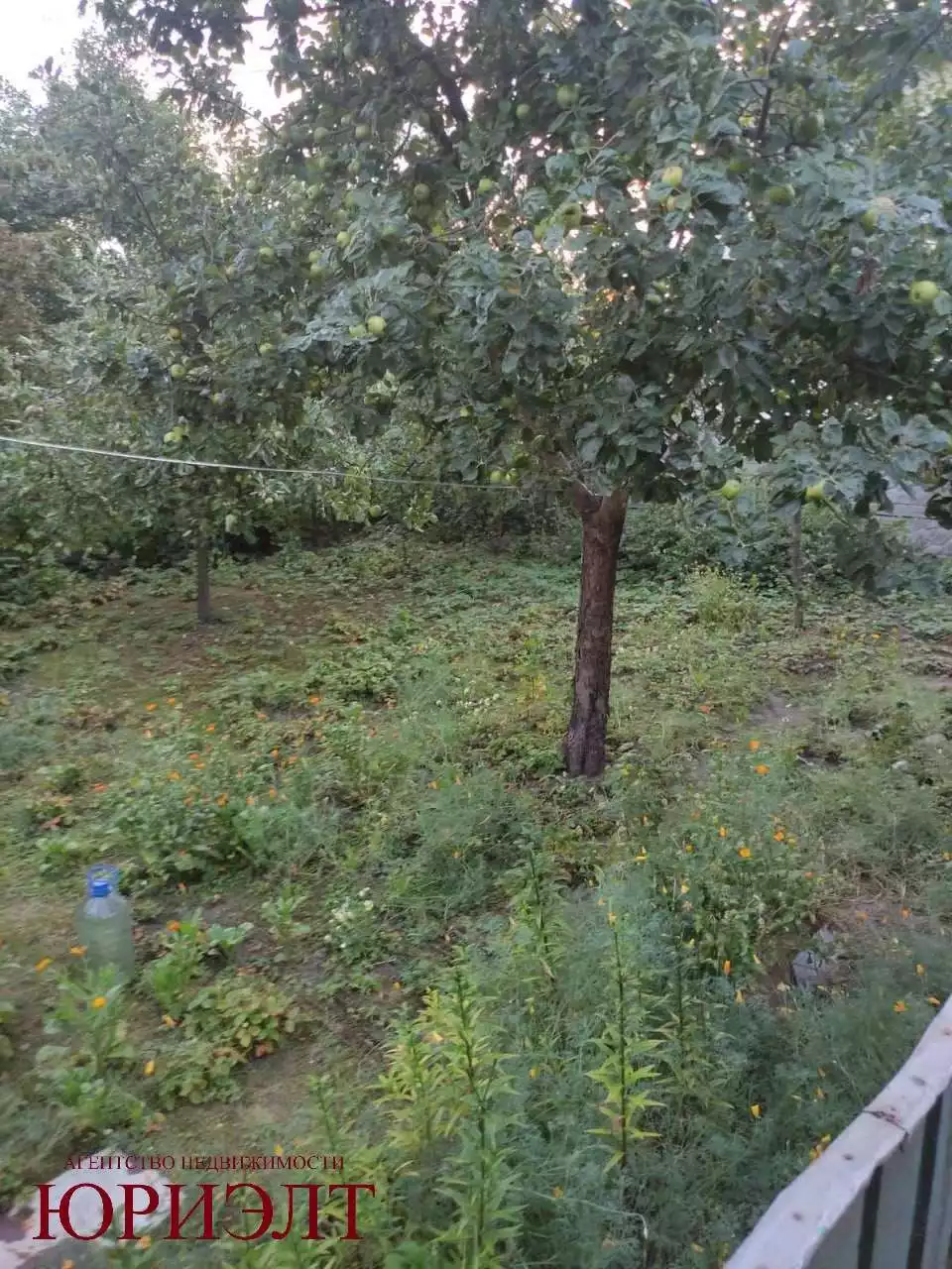  Дом