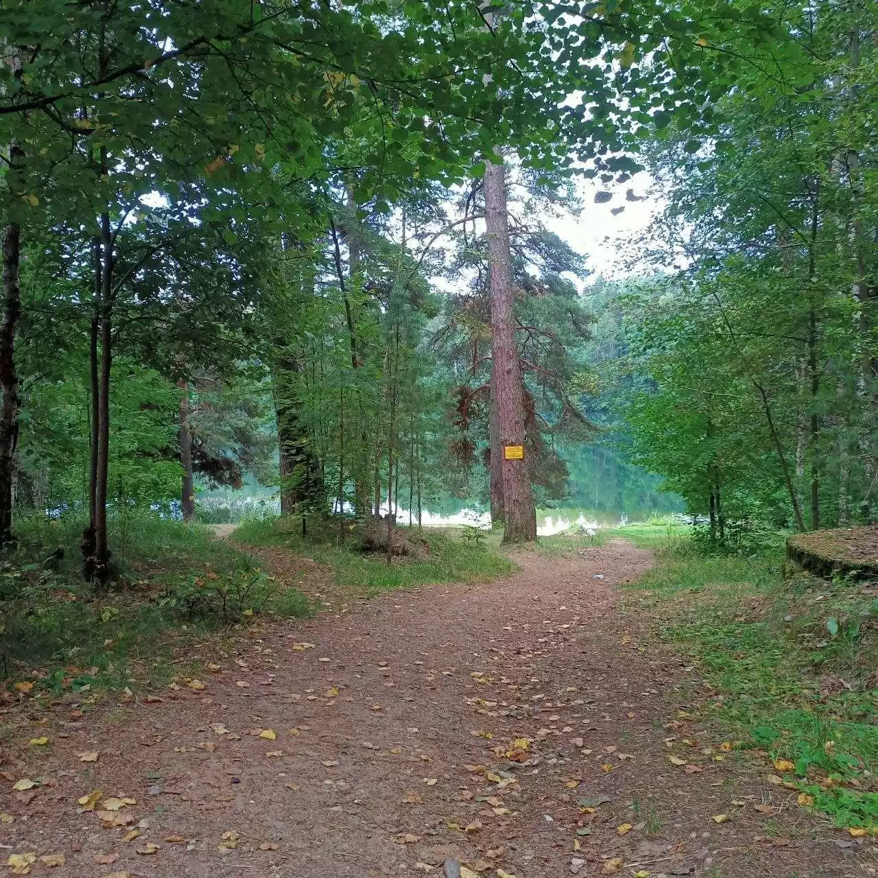  51,43м.кв., комнат 2, Боровка