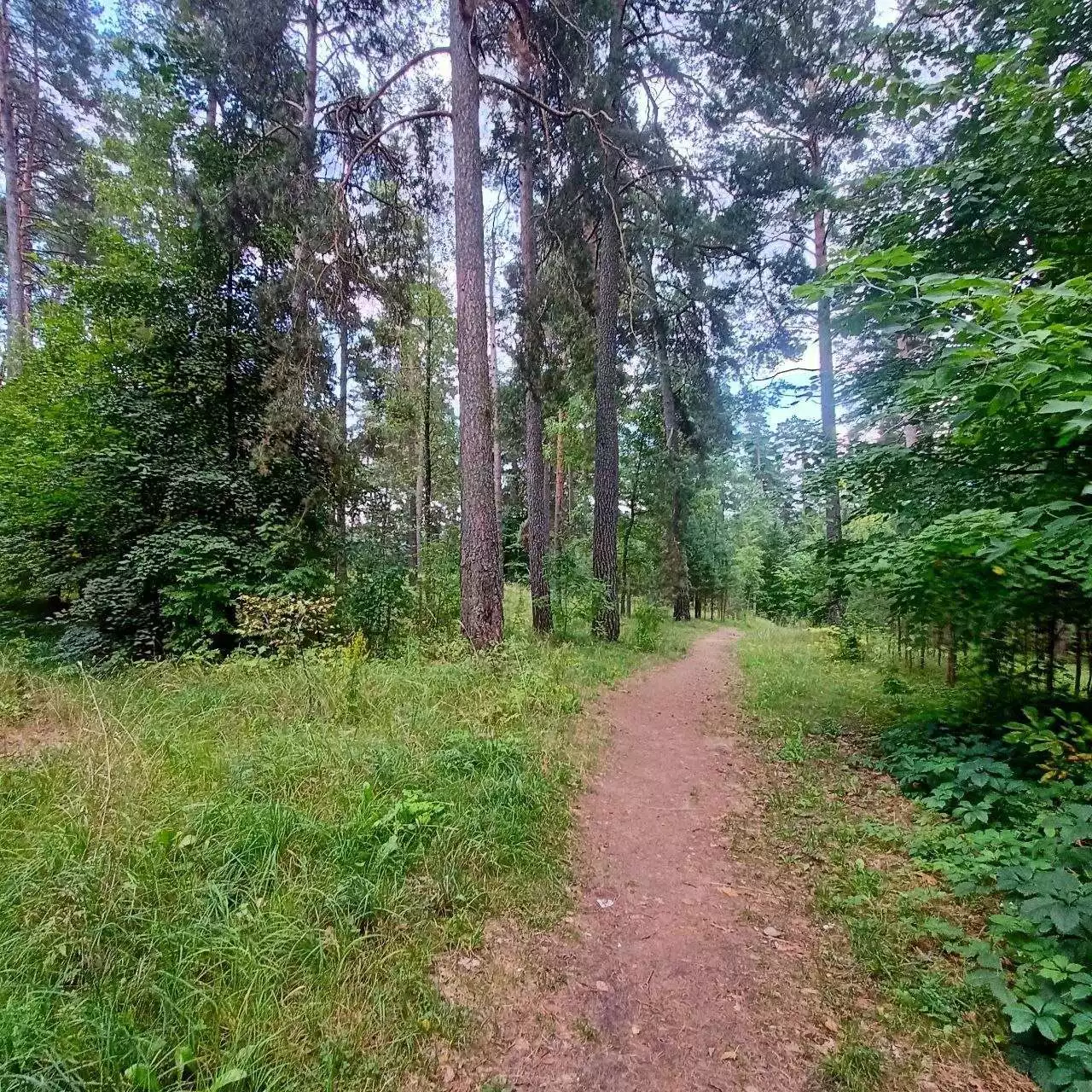  51,43м.кв., комнат 2, Боровка