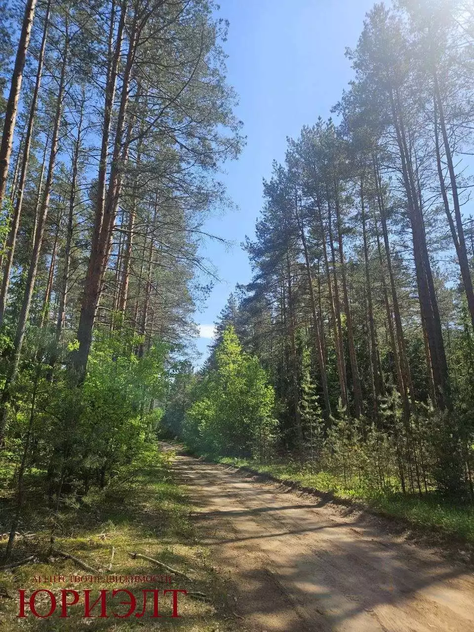  г.ОДО