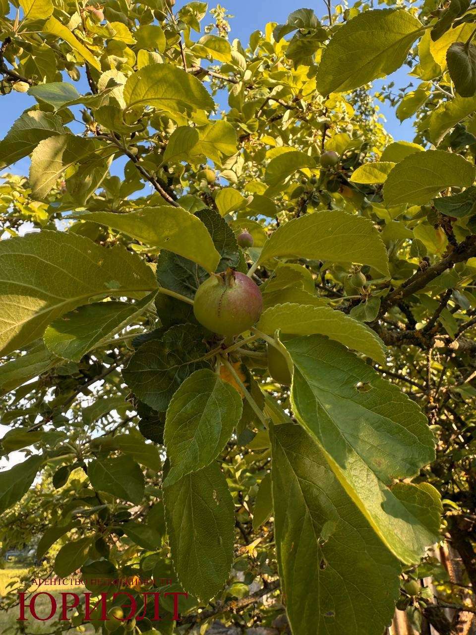  Барвяная, 17/2 (бывший район «Звёздная»)