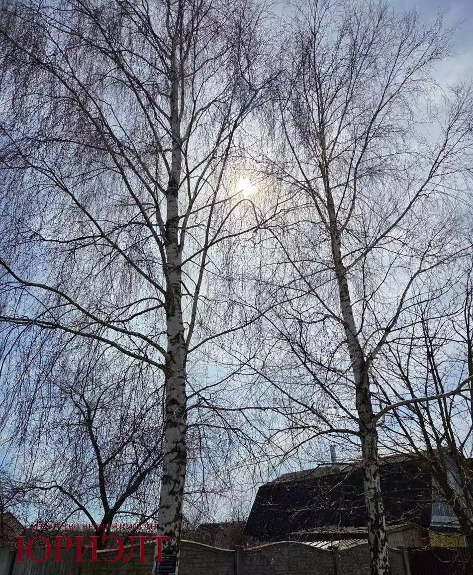  Дом