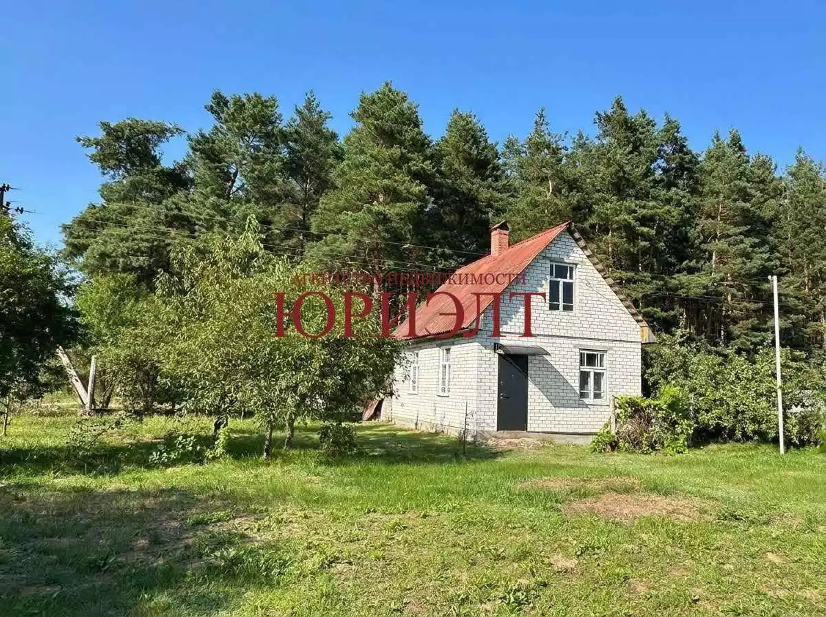  31,1м.кв., Основные