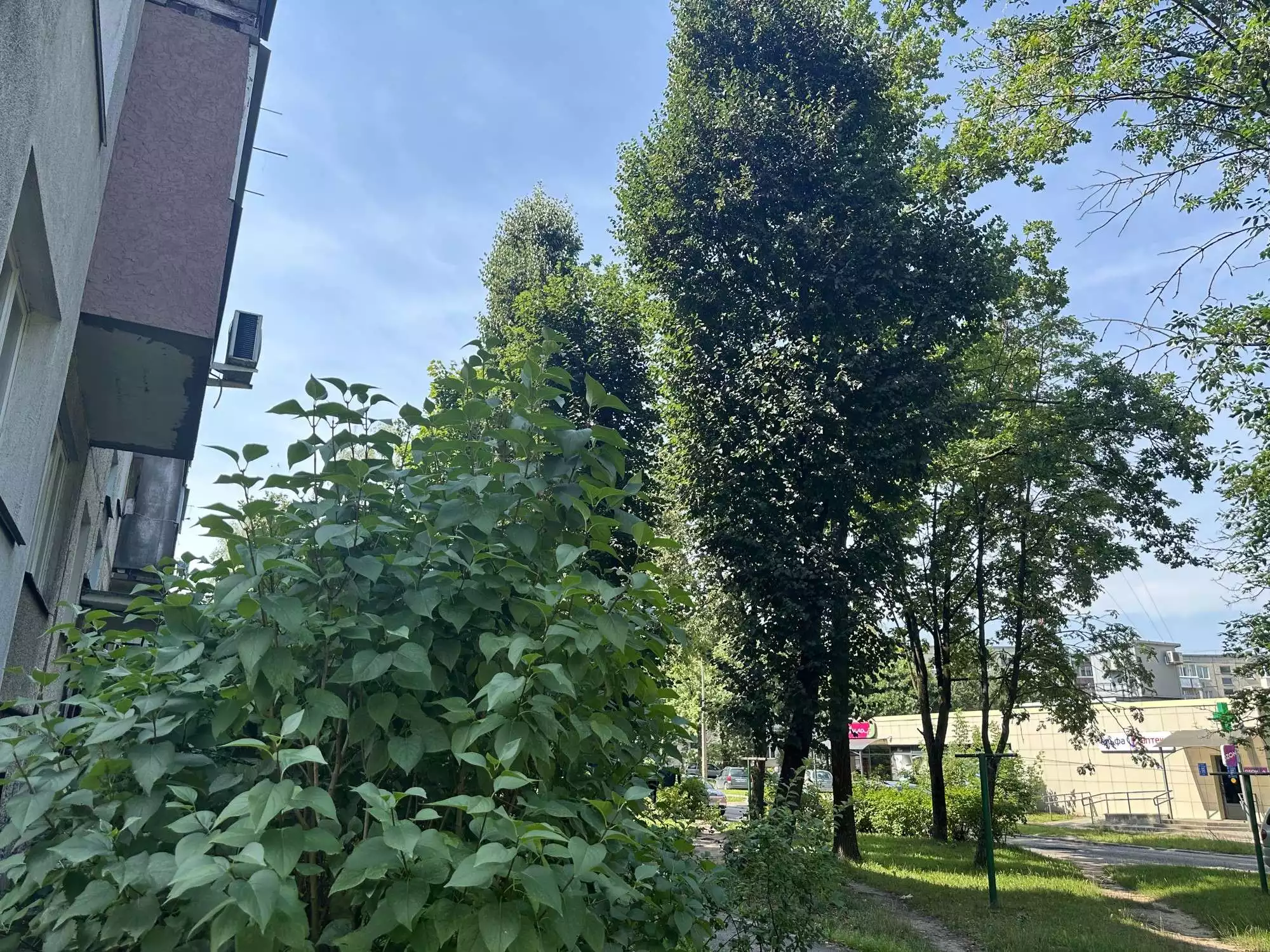  62,2м.кв., комнат 3, Гродно