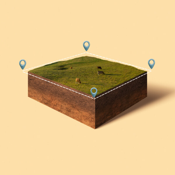 Как увеличить площадь земельного участка в Беларуси